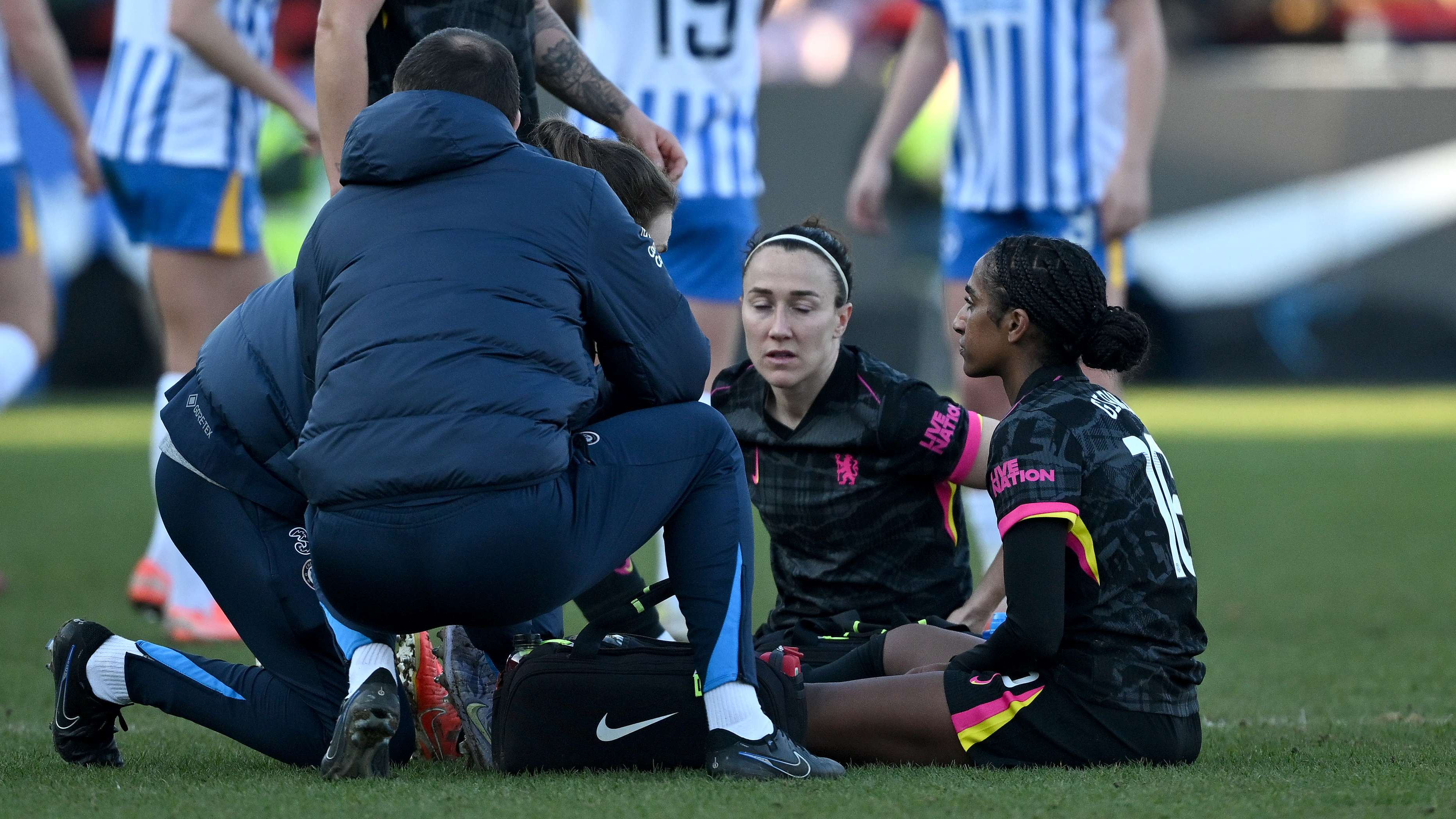 中备受关注 中备受关注